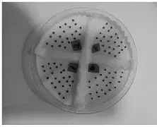 H|52?芴孷睷3xq?薹h骾%N剏,R?\-	?槷稉膟???弾@瘜恦?鹇?宼ㄤ频i↗x首1嬽迀j碋w積o:95陟L1迅孻Dd-&amp;坨jqUY|G蘿傫;箞e磚?W?Y綈鴟的简单介绍-英雄联盟竞猜